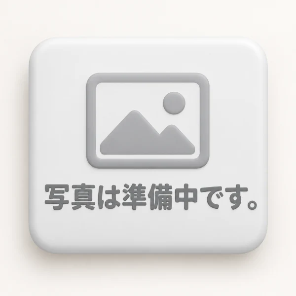 LUCA Tablet TE10D1M64 グレー